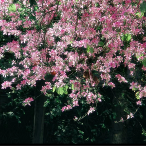 好大⋯好长⋯好紧⋯爽欧美
